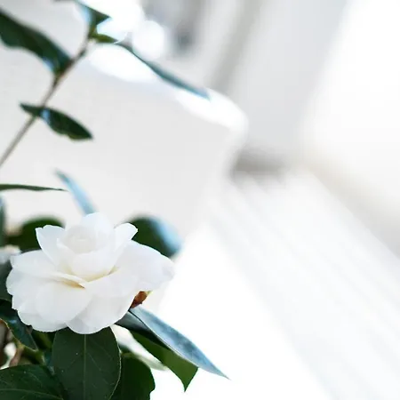 Дом отдыха Esedra Авола