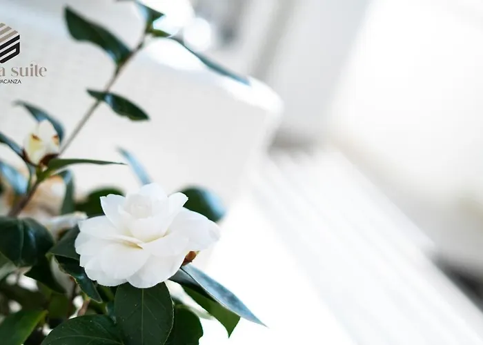 Сasa de vacaciones Esedra Avola